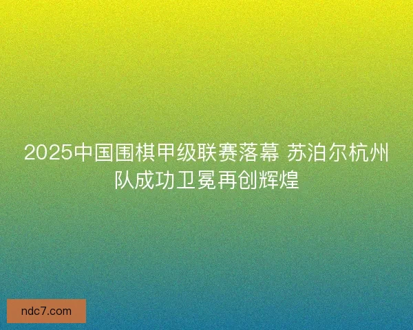 2025中国围棋甲级联赛落幕 苏泊尔杭州队成功卫冕再创辉煌